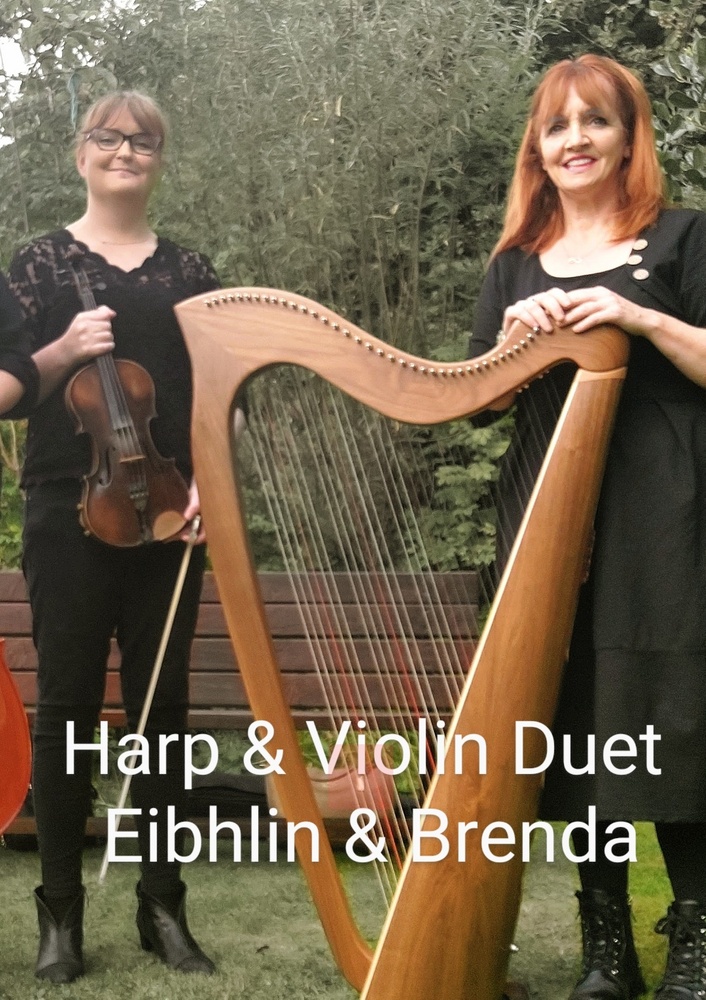 harp and violin duet